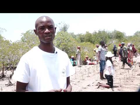 Embedded thumbnail for Ubuntu Leader leads the march to COP27 with Diani Community